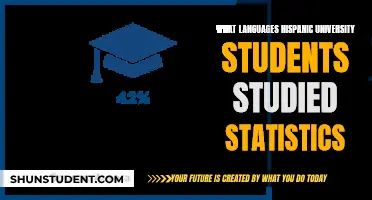 Hispanics' Statistical Language Journey: A University Study