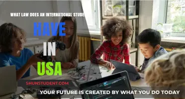 International Student Rights: US Laws Explained
