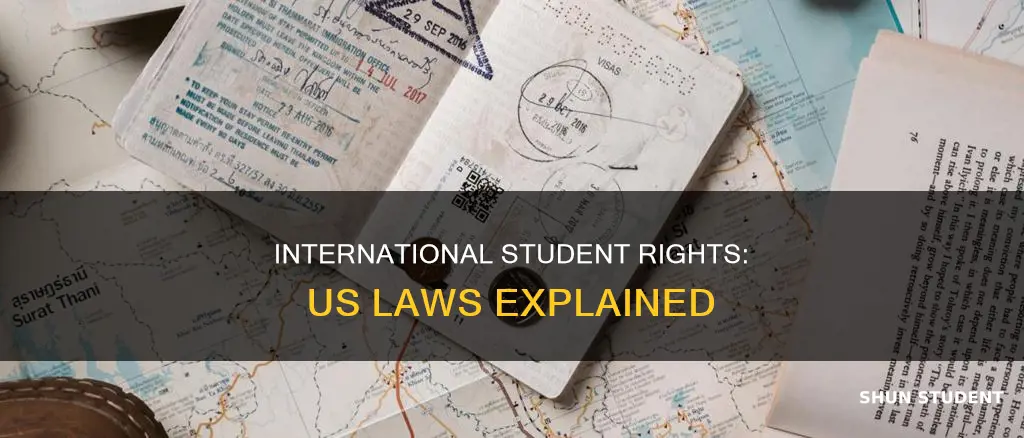 what law does an international student have in usa