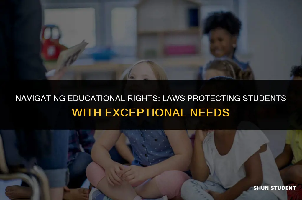 what laws guide services for students with exceptional learning needs