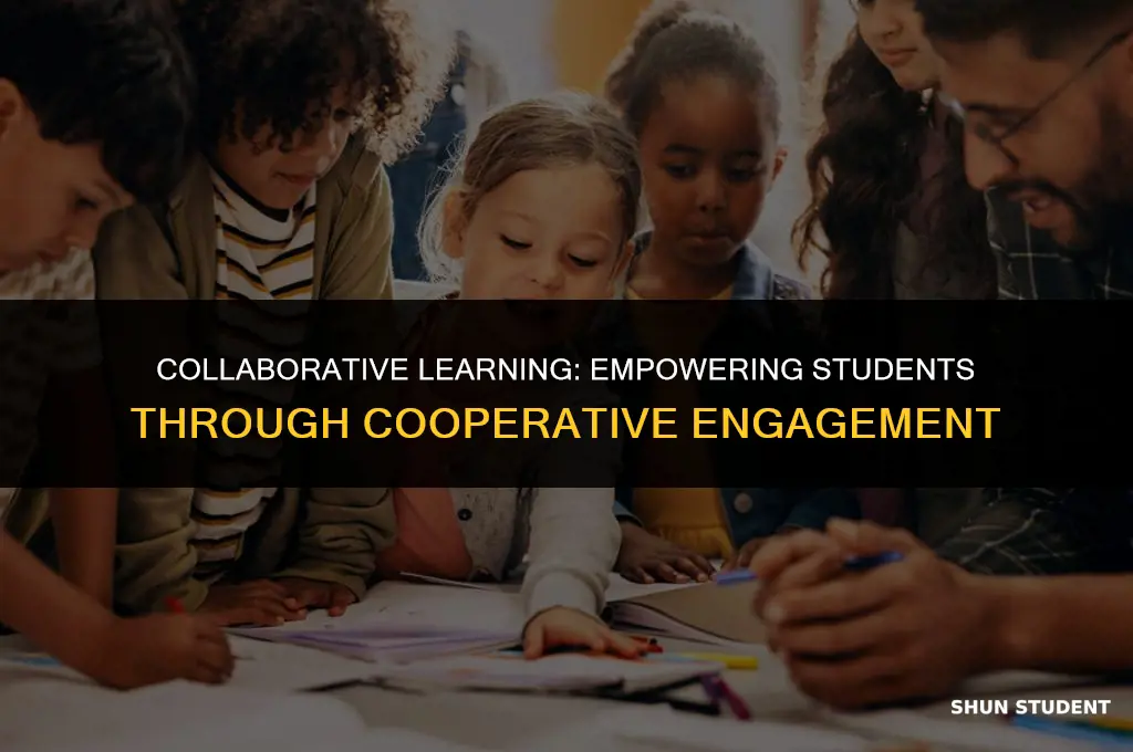 what learning theory talks about working together with students