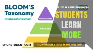 Exploring Higher Learning: Bloom's Taxonomy Levels 8-10 Unveiled