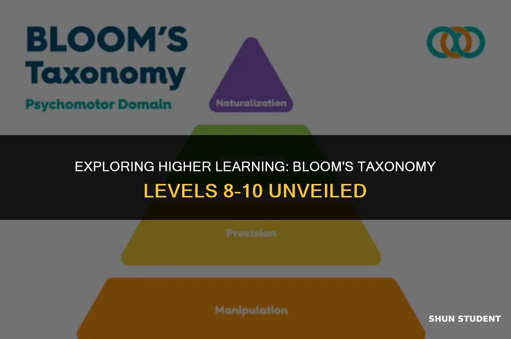 what level in bloom