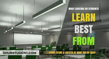 Illuminating Minds: The Optimal Lighting for Student Learning