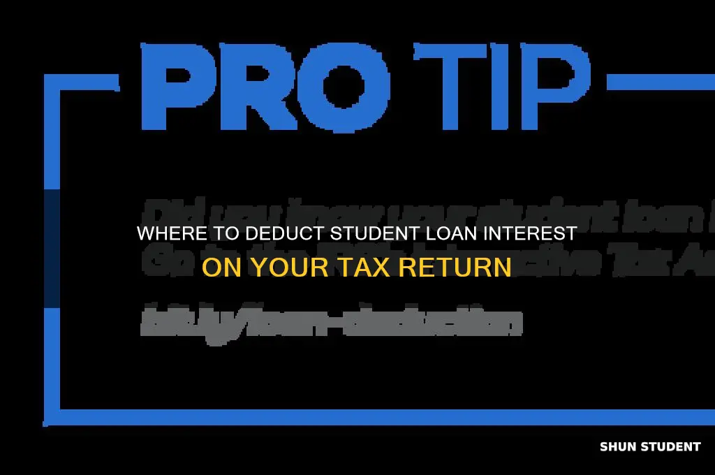 what line do i put my student loan interest