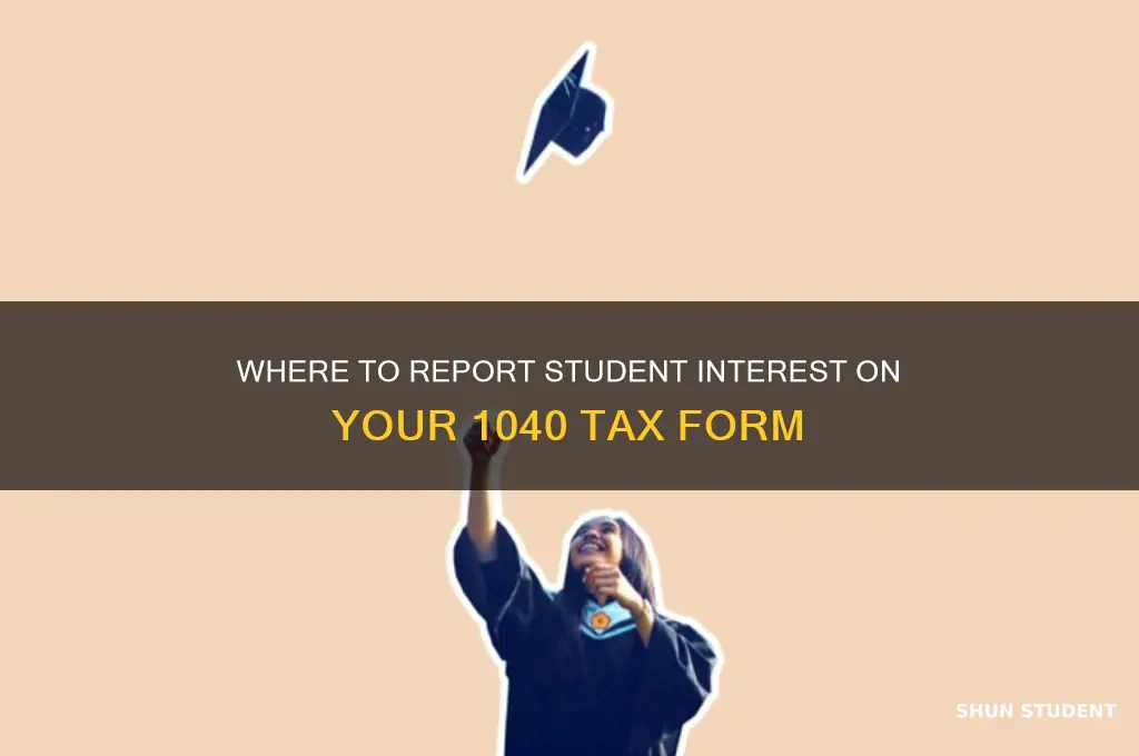 what line do i put student interest on my 1040