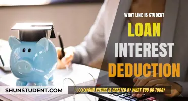 Understanding the Student Loan Interest Deduction Line on Your Taxes