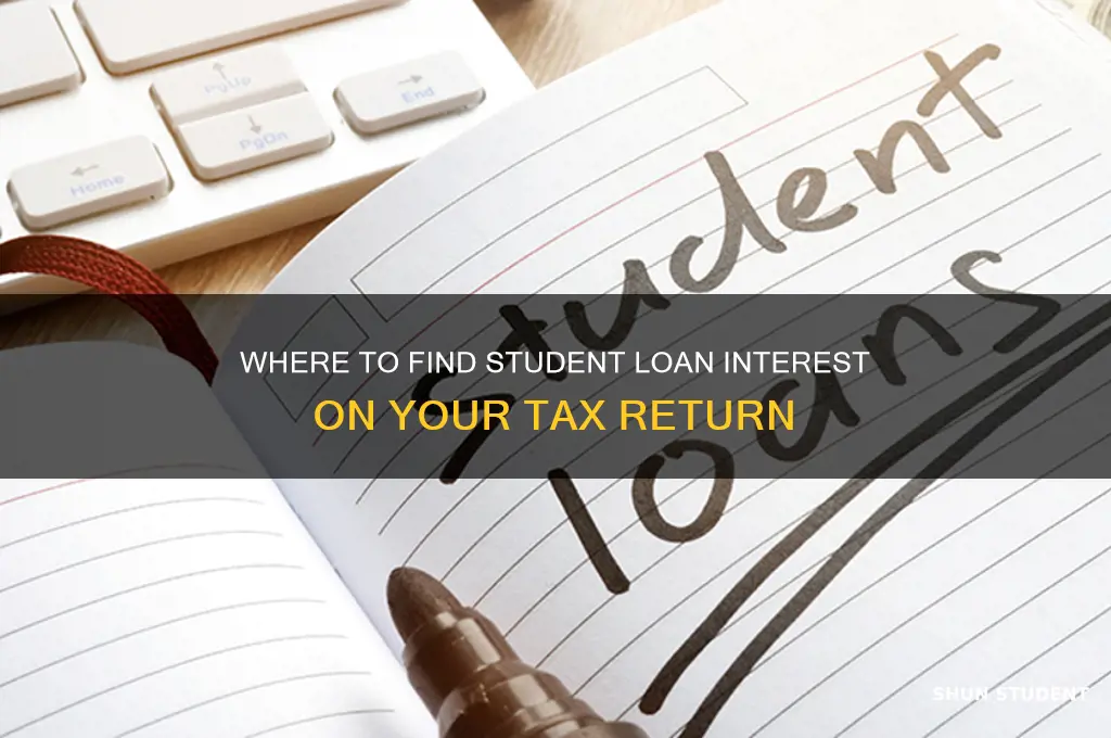 what line is student loan interest on taxes