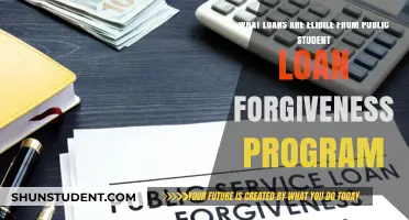 Public Student Loan Forgiveness: Eligible Loans and Program Requirements