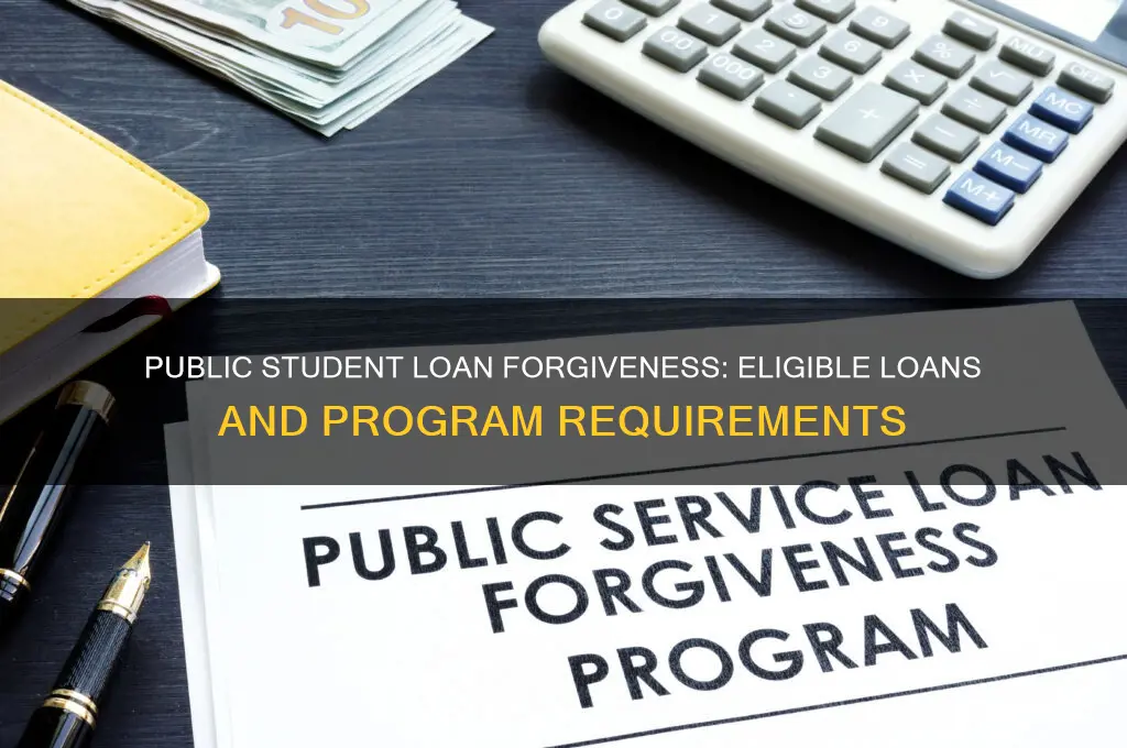 what loans are elibile from public student loan forgiveness program