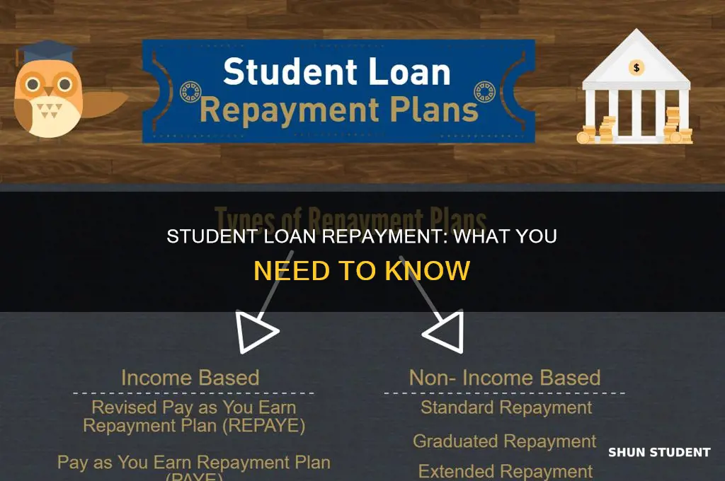what loans do you have to pay back for students