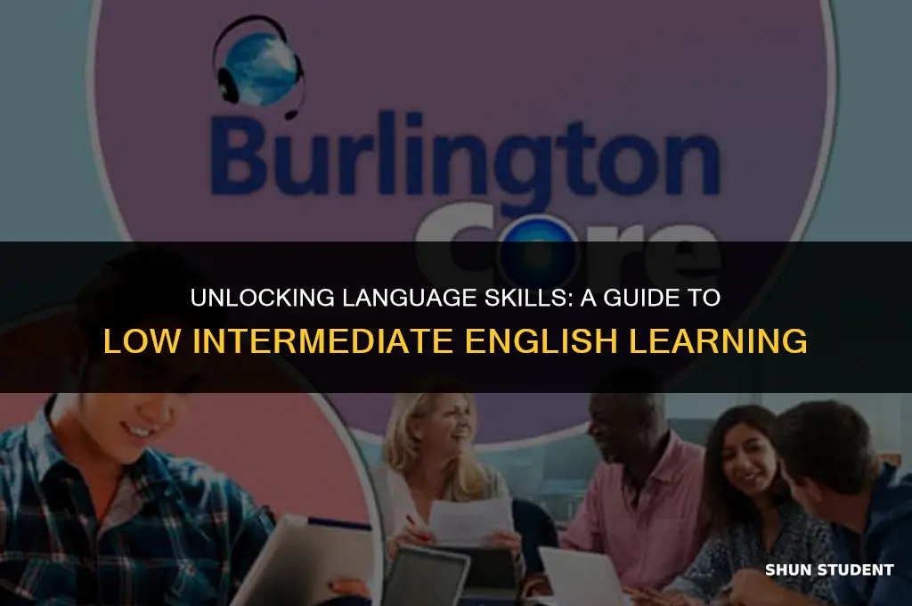what low intermediate english students usually learn