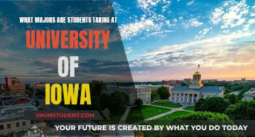 Exploring UI: Top Majors at the University of Iowa