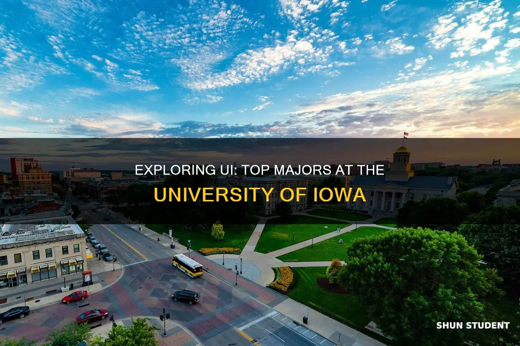 what majors are students taking at university of iowa