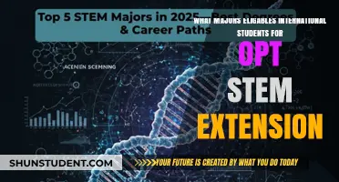Best Majors for International Students Seeking OPT STEM Extension