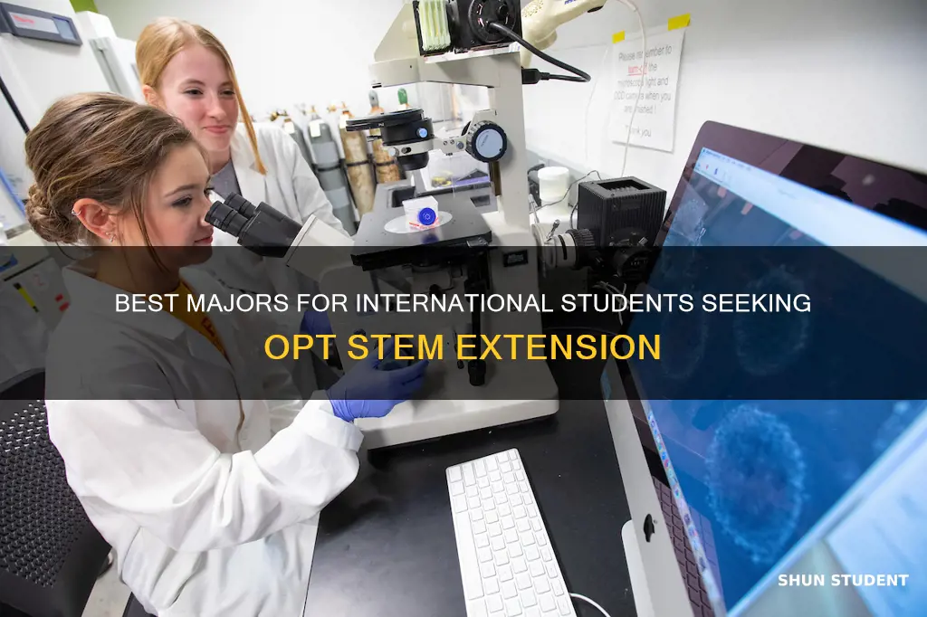what majors eligables international students for opt stem extension