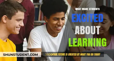 Unleashing Curiosity: What Makes Students Excited About Learning