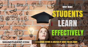 Unlocking Potential: Strategies for Effective Student Learning