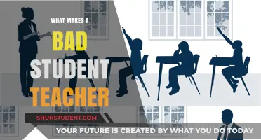 Unraveling the Traits of Ineffective Student Teachers in Education