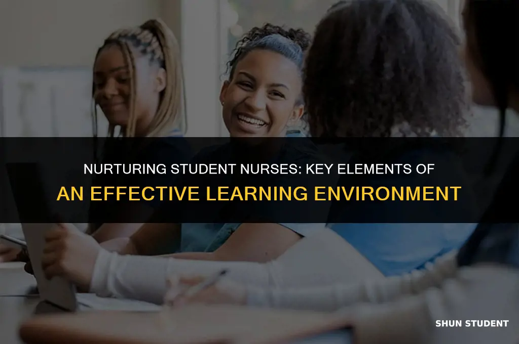 what makes a good learning environment for student nurses