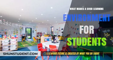 Cultivating Curiosity: The Key Elements of an Effective Learning Environment