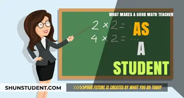 Qualities of a Great Math Teacher: A Student's Perspective