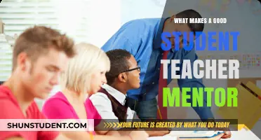 Effective Student-Teacher Mentorship: Key Traits for Inspiring and Guiding Success