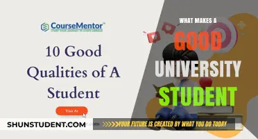 Traits of Successful University Students