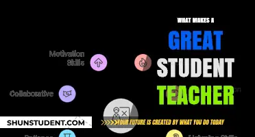 Essential Qualities of a Great Student Teacher: Skills and Mindset