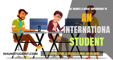 Supervisor Qualities International Students Need
