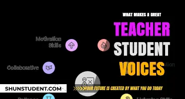 Student Voices: Unveiling the Qualities of an Exceptional Teacher