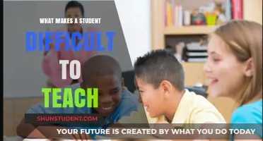 Understanding the Challenges: What Makes a Student Difficult to Teach?