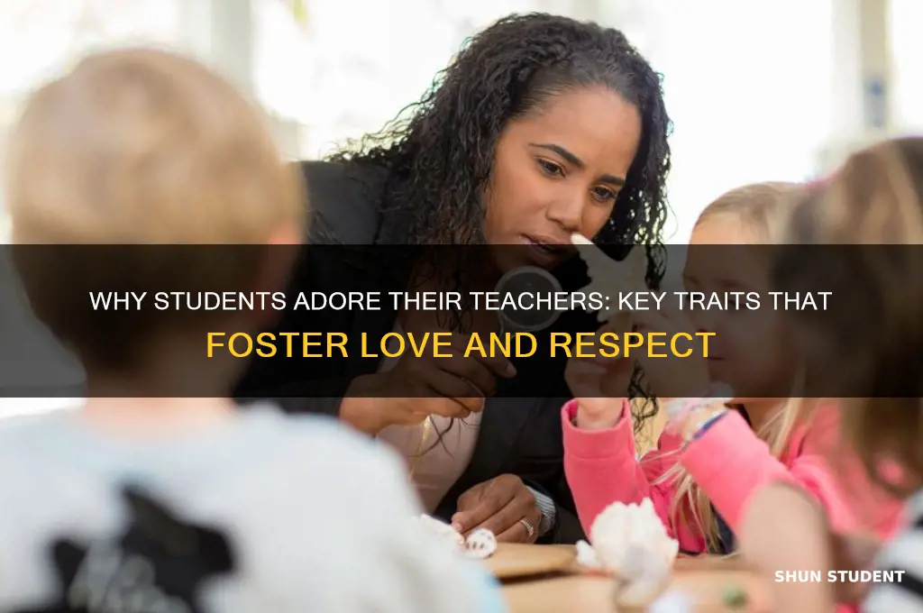 what makes a student love their teacher