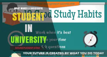 Strategies for Academic Success: University Edition