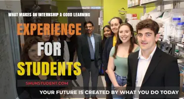 Unlocking Potential: The Key Elements of a Valuable Student Internship