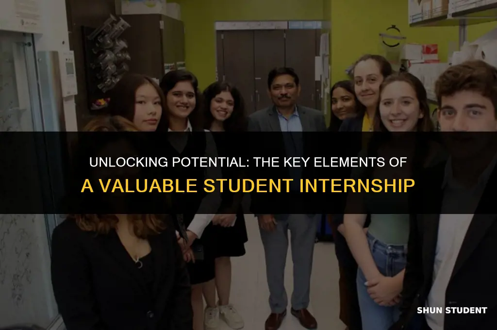 what makes an internship a good learning experience for students