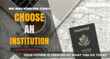 Factors Influencing International Students' University Choices