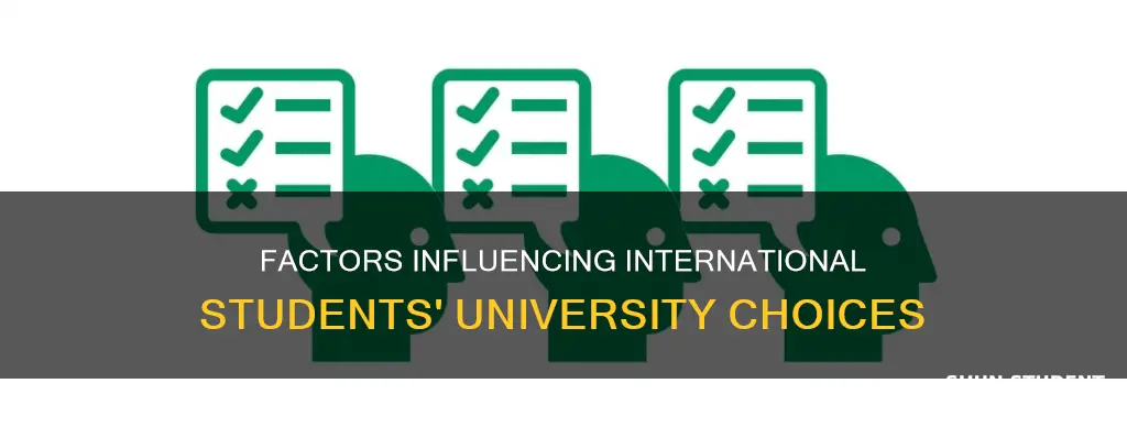 what makes international students choose an institution