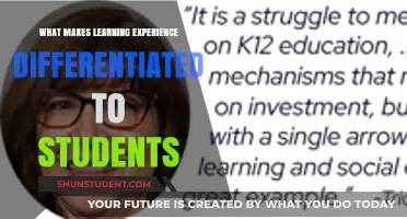 Tailored Learning: Unlocking Unique Educational Journeys for Every Student