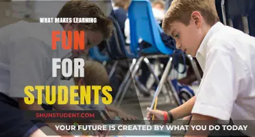 Exploring the Joy of Learning: What Engages Students?