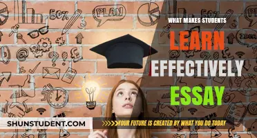 Unlocking Academic Success: Strategies for Effective Student Learning