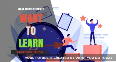 Unlocking Curiosity: What Drives Students to Learn?
