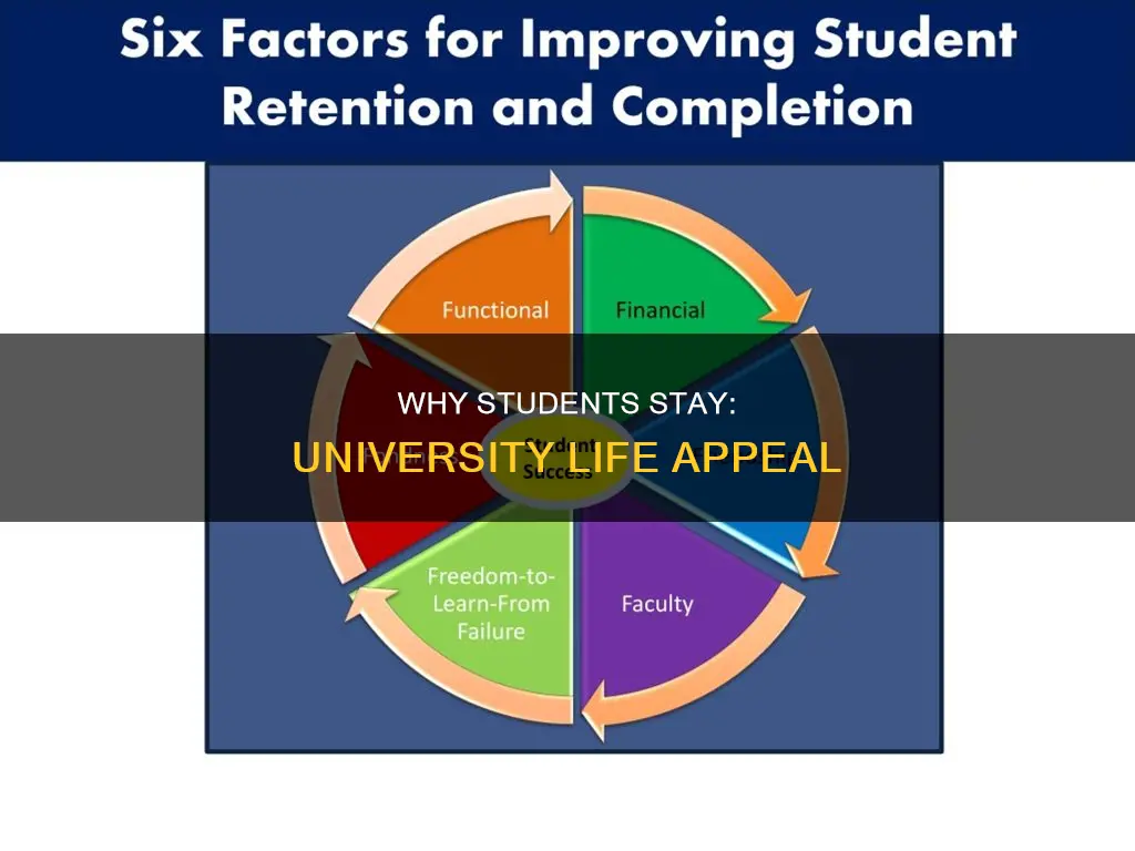 what makes students want to stay at university
