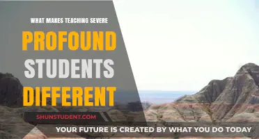 Unique Challenges and Rewards: Teaching Severe Profound Students Differently