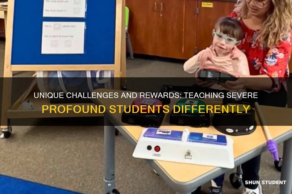 what makes teaching severe profound students different