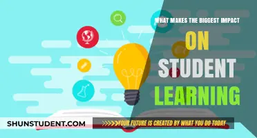 Unlocking Potential: Key Factors Driving Student Success