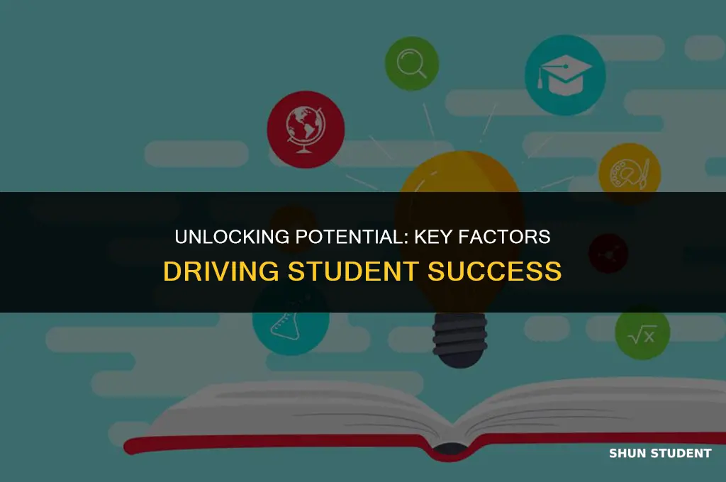what makes the biggest impact on student learning