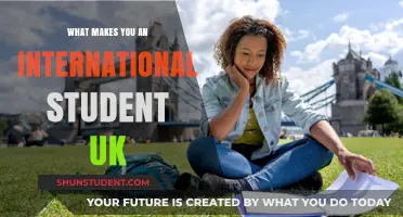 International Student in the UK: What Makes You One?