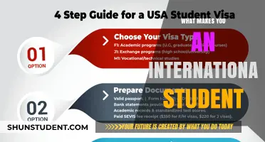 International Student Identity: What Defines You?