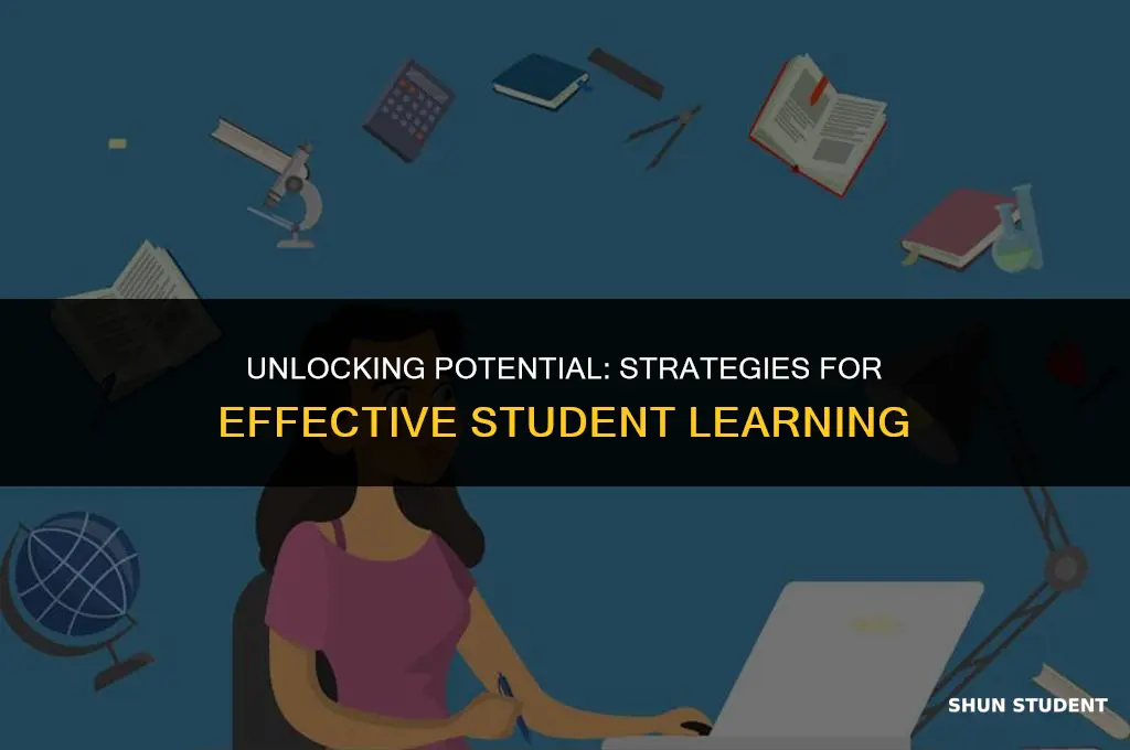 what makes you the student learn more